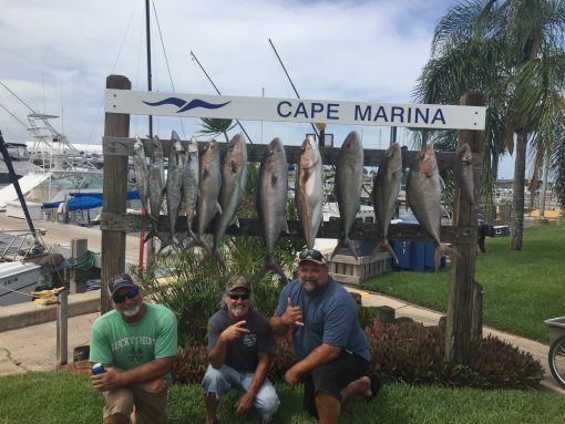 jacks and kings charter