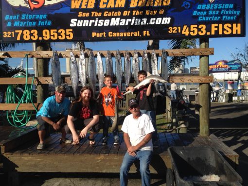 kingfish fishing charter